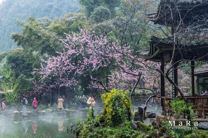 美丽的铅笔裙